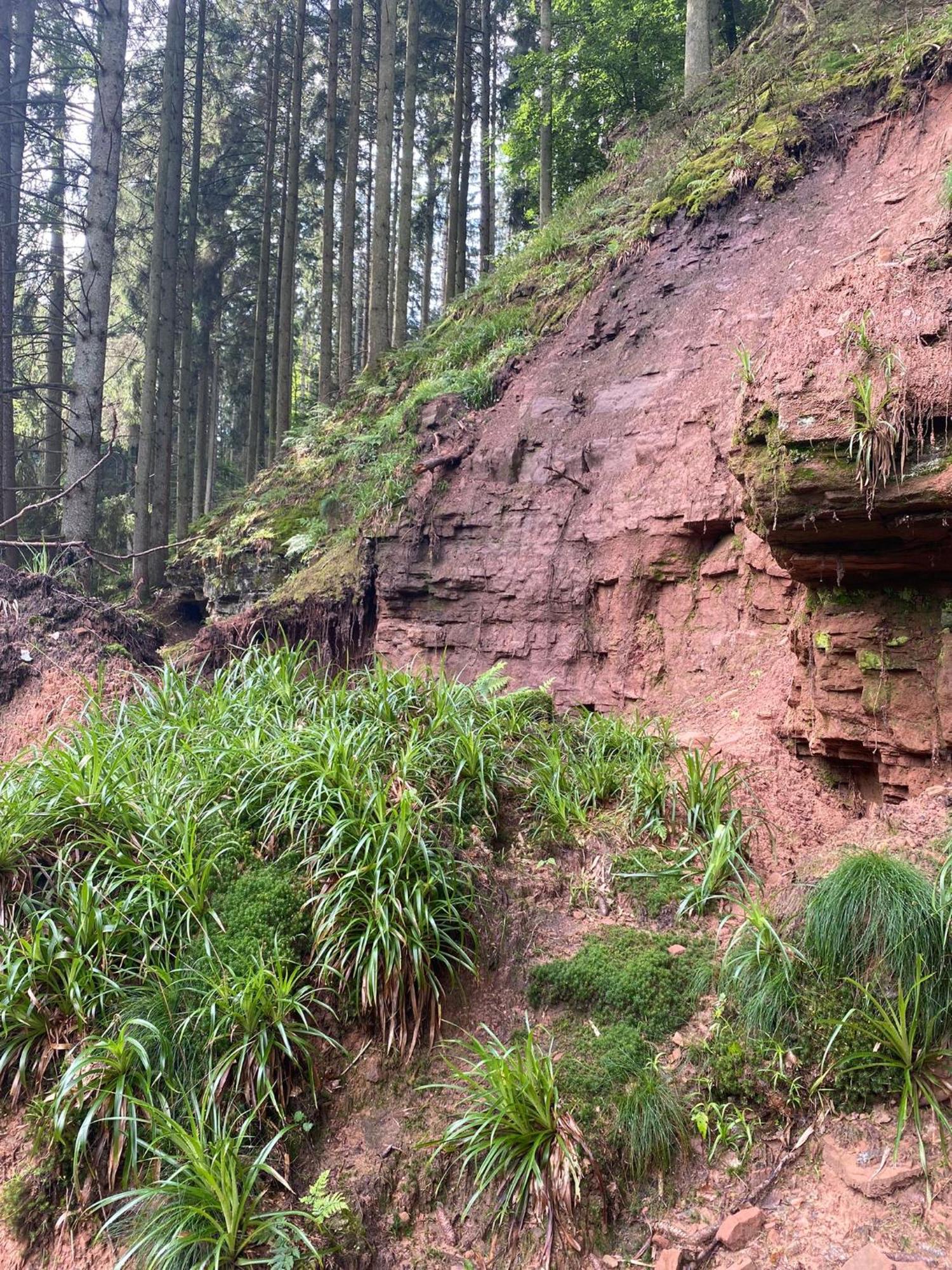Ferienhaus Vulkaneifel Abtei Himmerod Großlittgen Kültér fotó