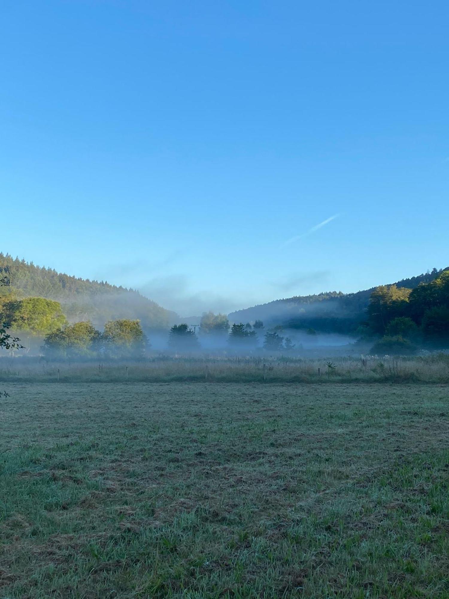 Ferienhaus Vulkaneifel Abtei Himmerod Großlittgen Kültér fotó