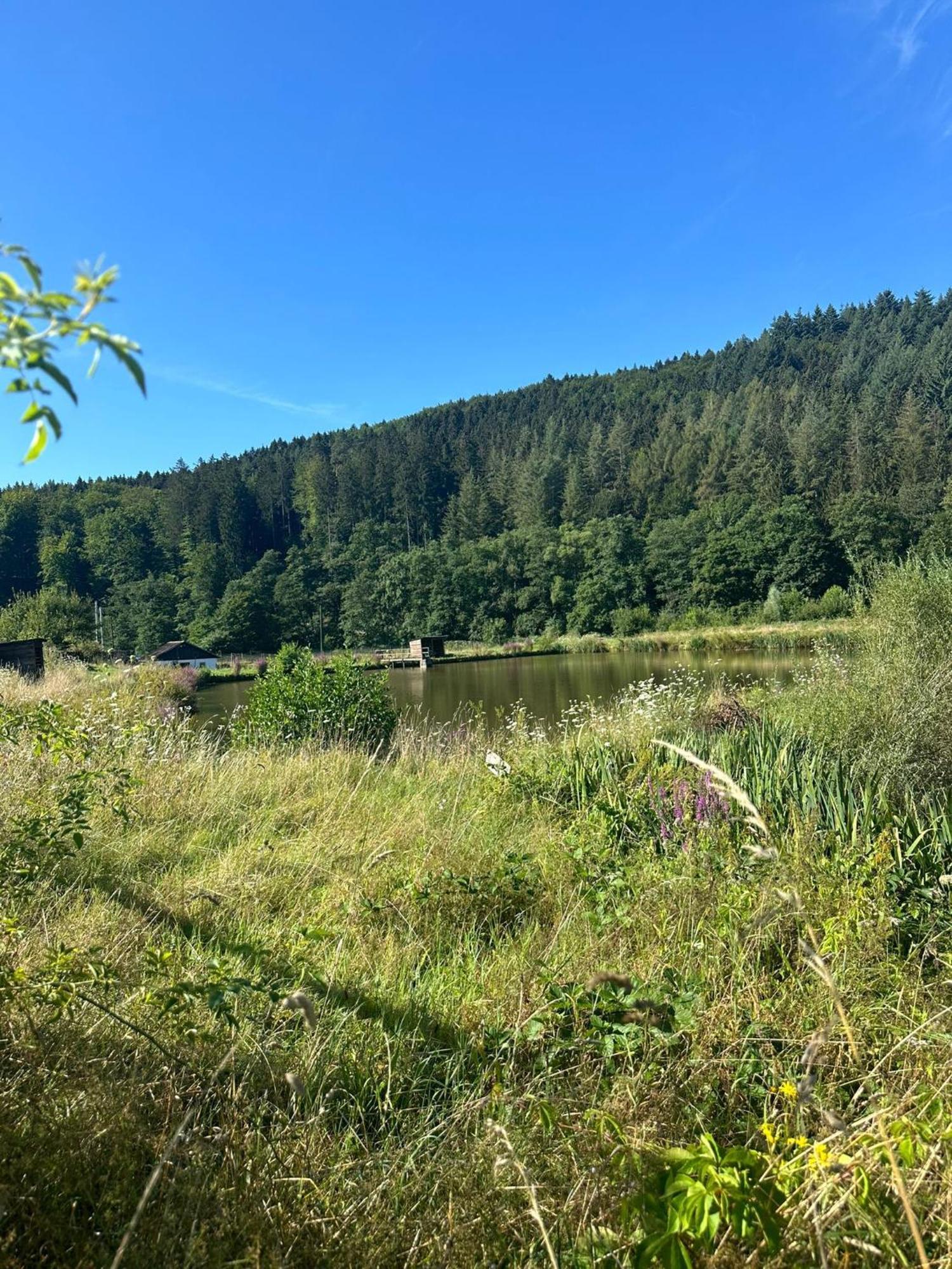Ferienhaus Vulkaneifel Abtei Himmerod Großlittgen Kültér fotó