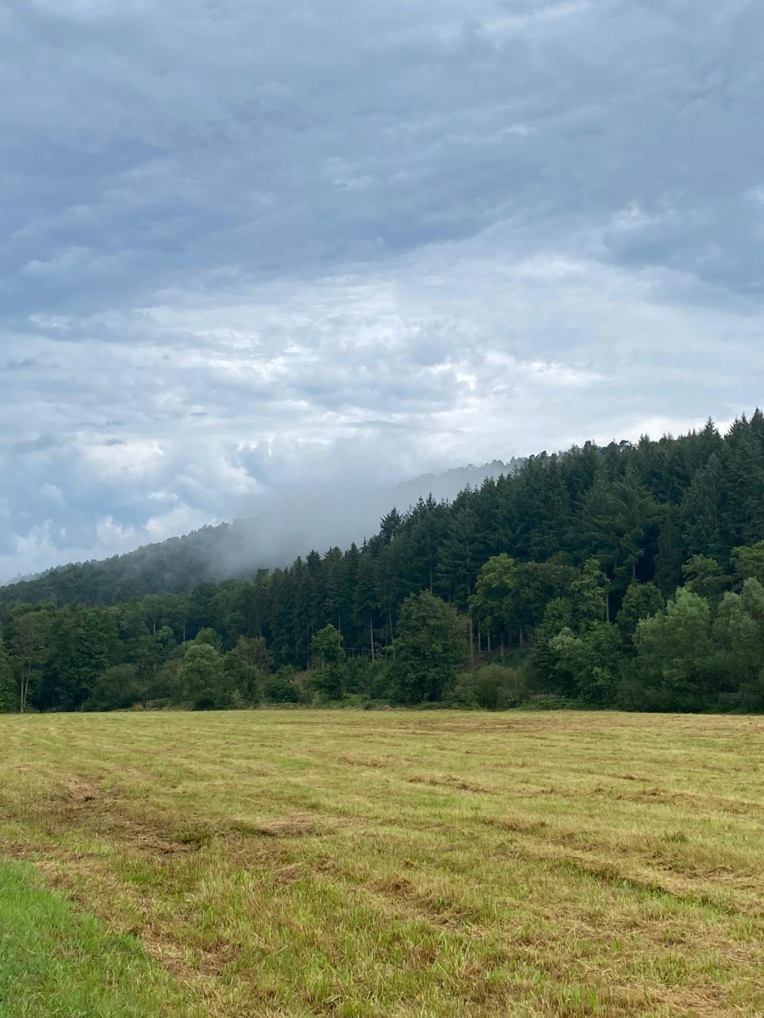 Ferienhaus Vulkaneifel Abtei Himmerod Großlittgen Kültér fotó