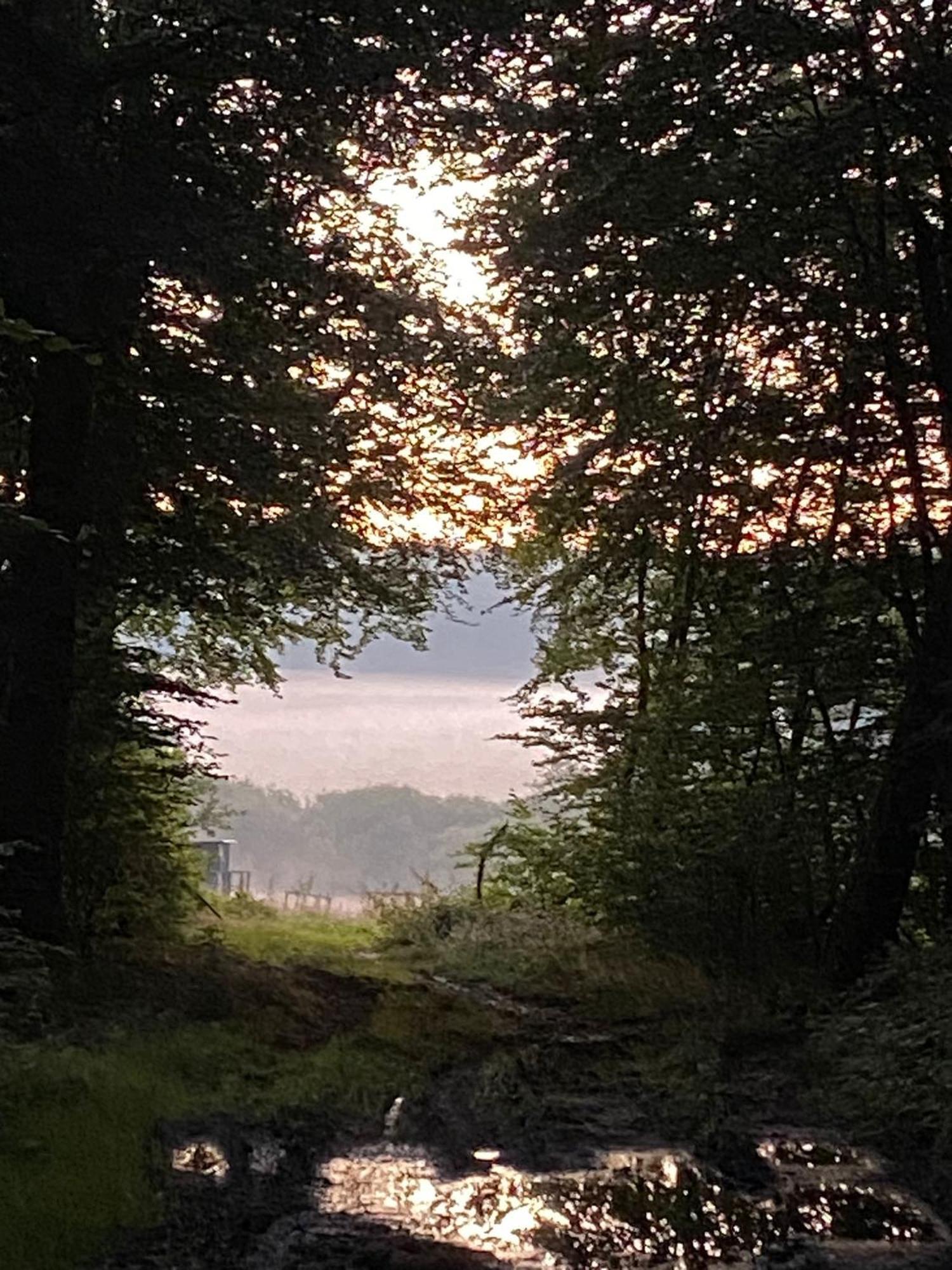 Ferienhaus Vulkaneifel Abtei Himmerod Großlittgen Kültér fotó